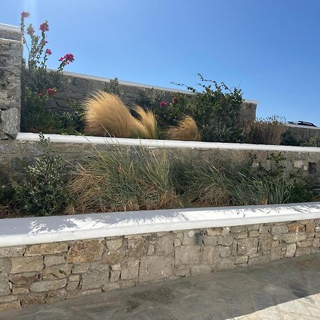 Ene'S Mykonos Appartement Klouvas Buitenkant foto